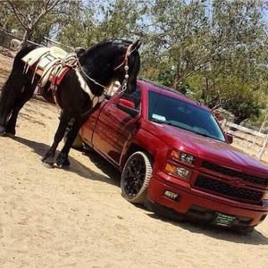 Meet your Posher, Fabian